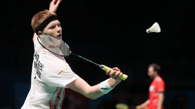 埃弗拉的加 埃弗拉的加