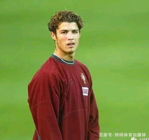 表现充满期 表现充满期