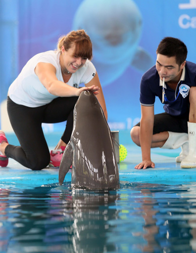 巴萨的守门 巴萨的守门